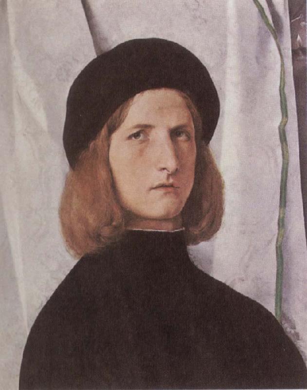 Lorenzo Lotto Portrait of a Youth Against a White Curtain oil painting image